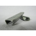 Bungee | Clips | Galvanized Steel | 5/16''-8mm | 2X50 units